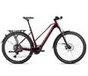 Orbea KEMEN MID 10 20mph L Dark Red (Gloss -Matt)
